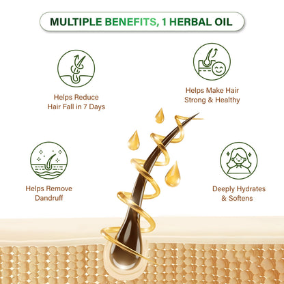 Niconi Herbal Hair Oil (Comb Applicator) 200ml